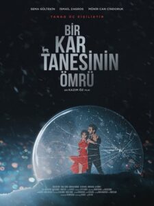 bir kar